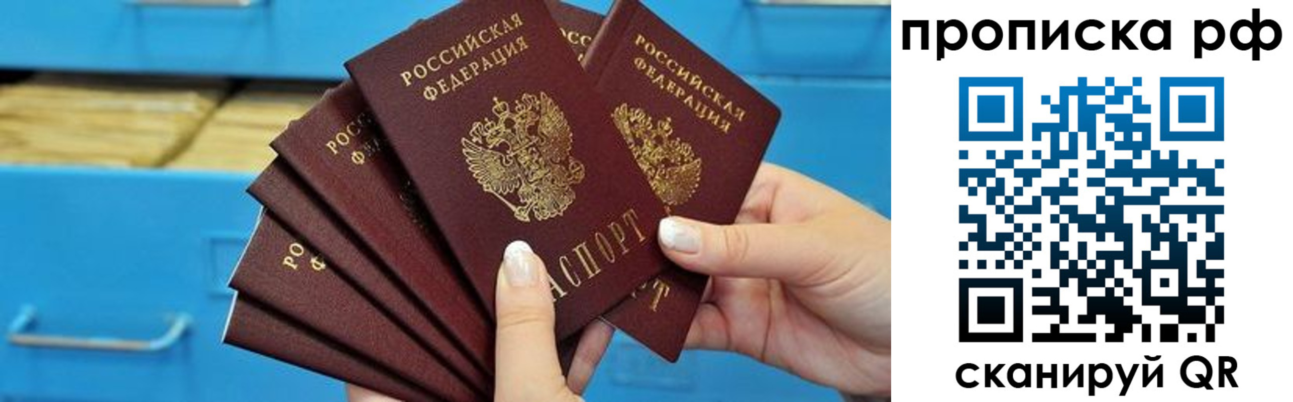 прописка поиск в Котово